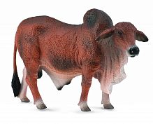 Красный брахманский бык					